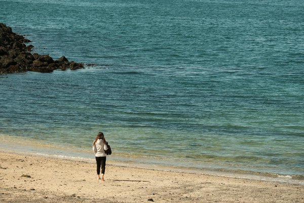 Wie kann regelmäßige Bewegung mein Risiko für Herzkrankheiten senken?