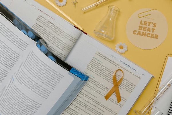 Wie können pflanzliche Lebensmittel das Risiko von chronischen Krankheiten verringern?